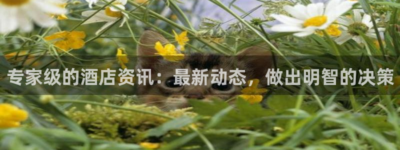 williamhill官网登录入口|专家级的酒店资讯：最新动