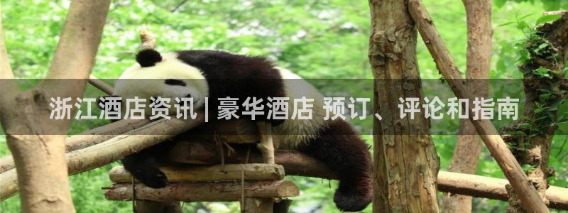 威廉体育williamhill登录入口|浙江酒店资讯 | 豪