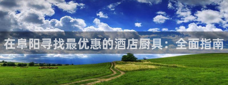英国威廉希尔官网登录|在阜阳寻找最优惠的酒店厨具：全面指南